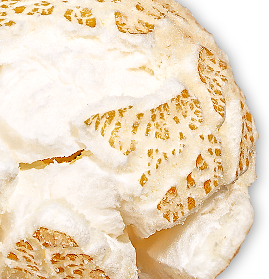 Protein Plus Popcorn Variety 8-Pack (2 oz. bags)